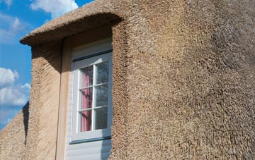 Cliobh thatch roof disadvantages
